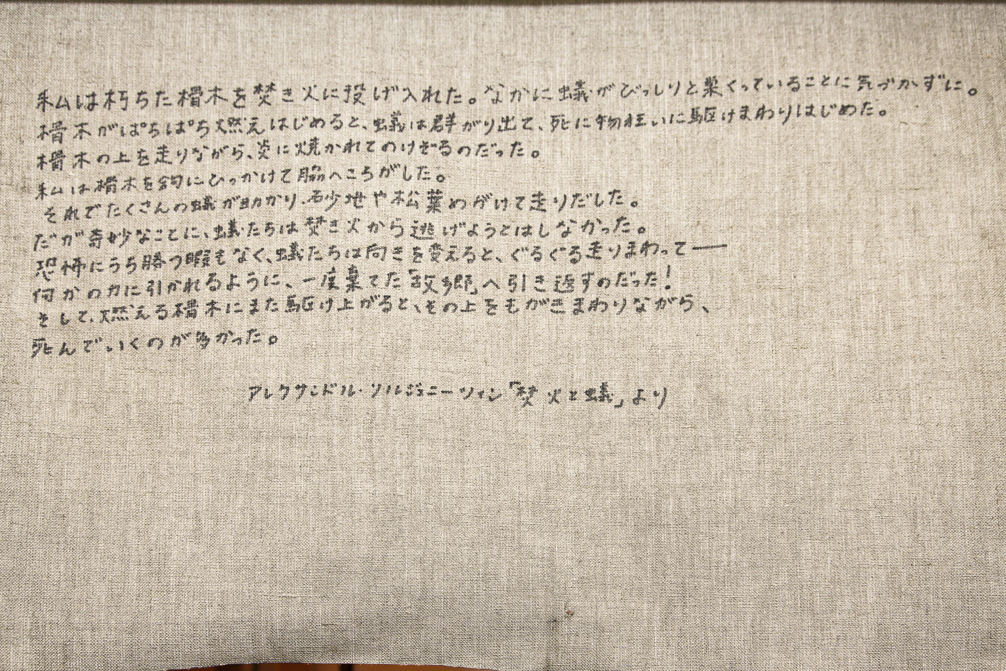 Exhibition Image 1